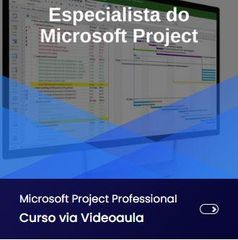 Curso Microsoft Project